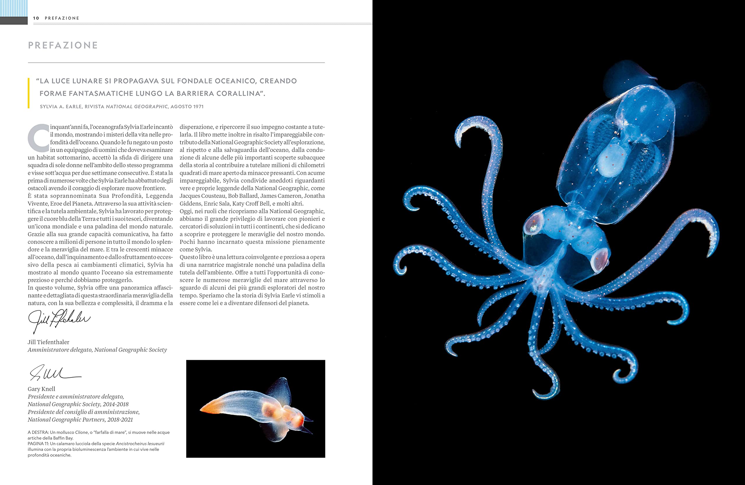 NATURA E POPOLI - Oceani: L'ultima odissea | National Geographic | Edizione Illustrata | Impegno Globale per la Natura
