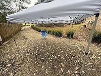 Review Image by sarah sarah