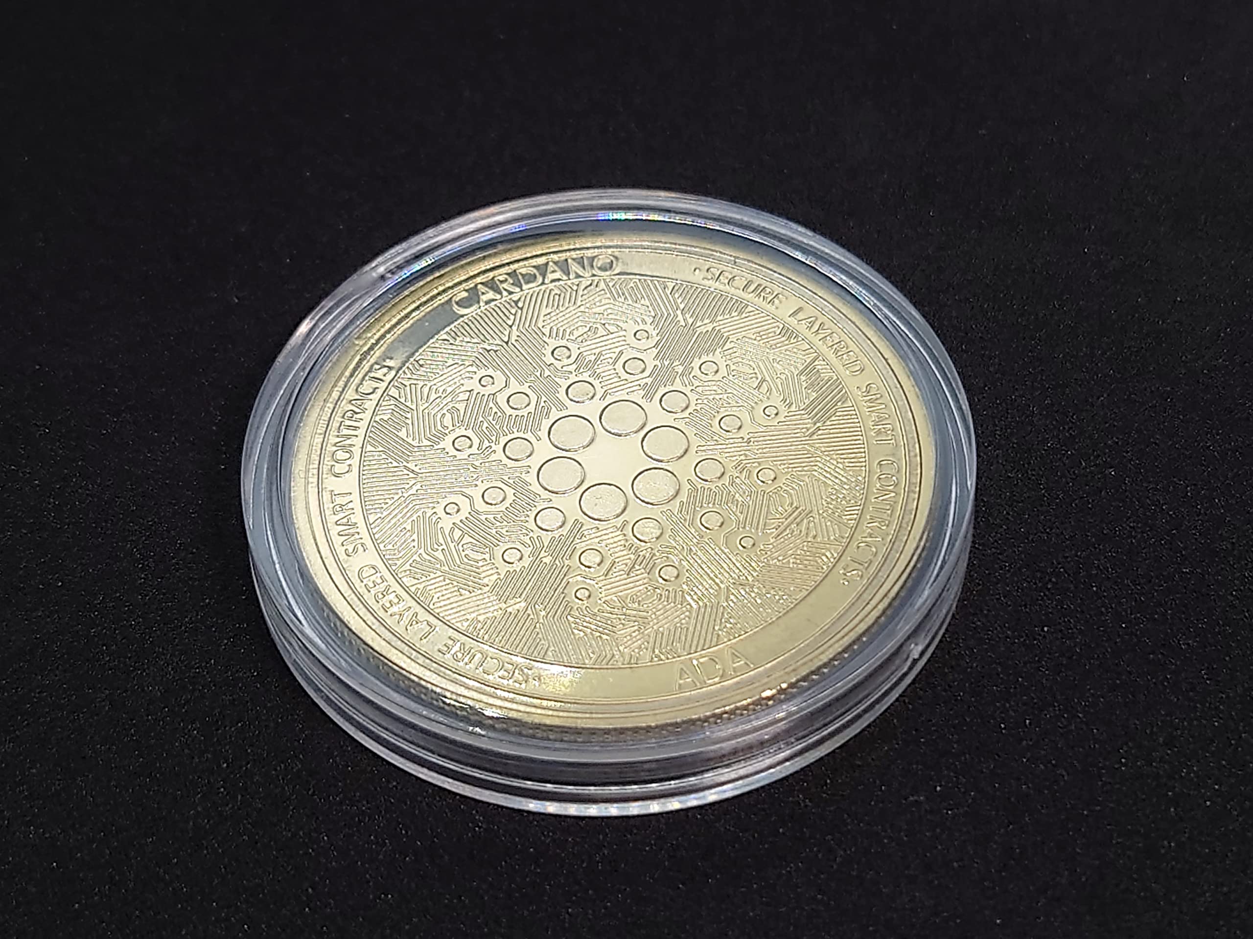 Amazon | ADAコイン エイダコイン カルダノコイン adaコイン えいだこいん かるだのこいん adacoin 1枚 クリアケース付き  日本国内から発送（ゴールド） 通販