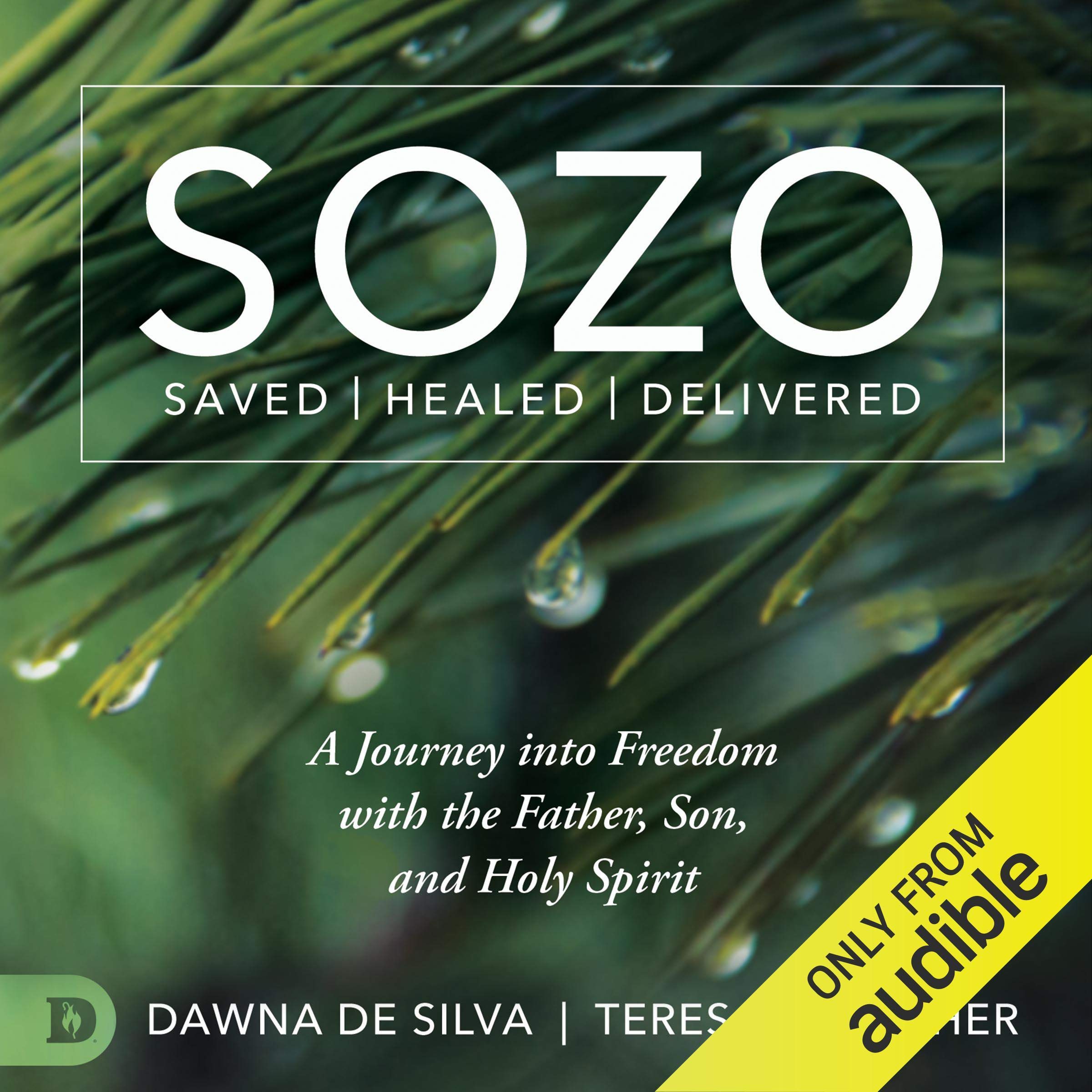 Cover art for SOZO Saved Healed Delivered