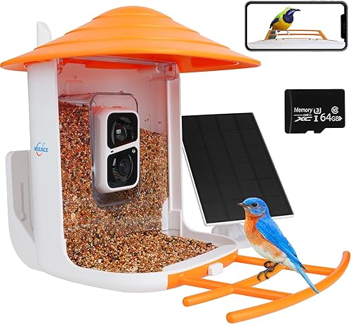 WIZACE Cámara inteligente alimentadora de pájaros con panel solar y tarjeta TF de 64 GB, cámara de observación de aves para exteriores captura