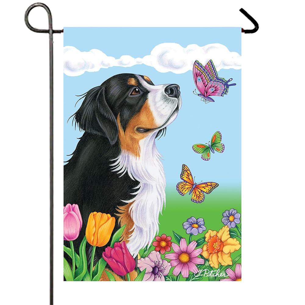 30 Best Gifts for a Bernese Mountain Dog Owner - iHeartDogs.com 23 81 Y5XyuT9L. SL1000