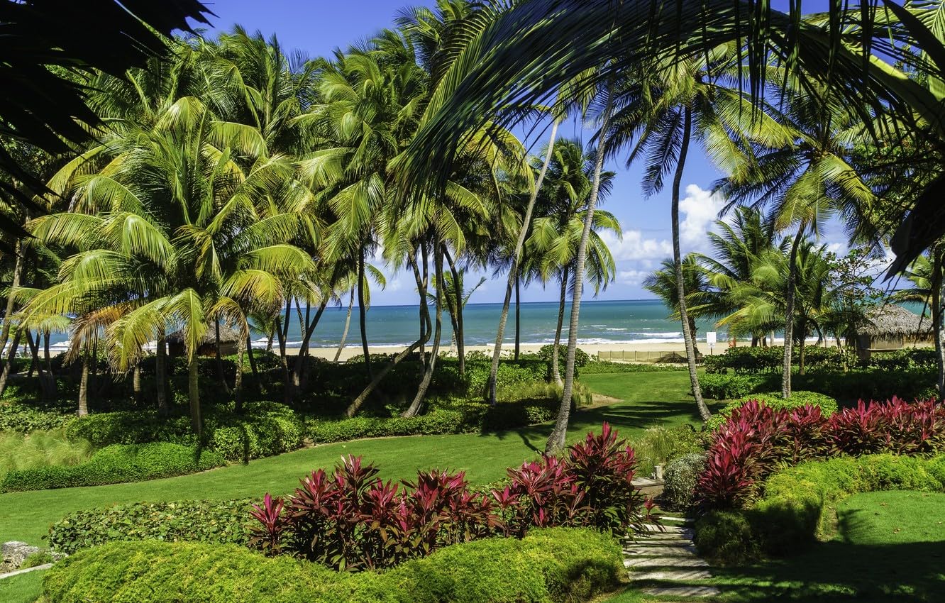 1000 Piece Jigsaw Puzzle Educational Puzzle Family Game Gift for Adults and Kids, Beach, Tropics, Lawn, Puerto Rico 52x38CM