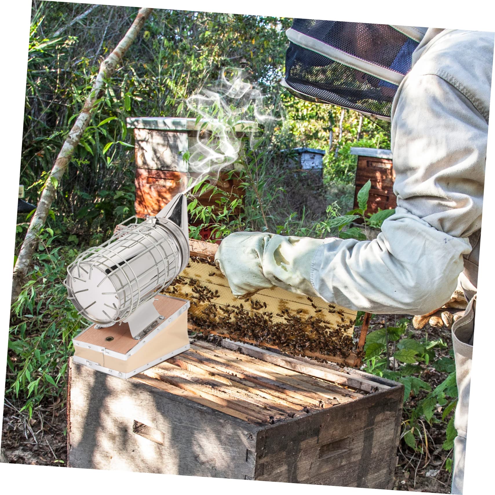Enfumoir Manuel Mini en Acier Inoxydable pour Colonies D’abeilles