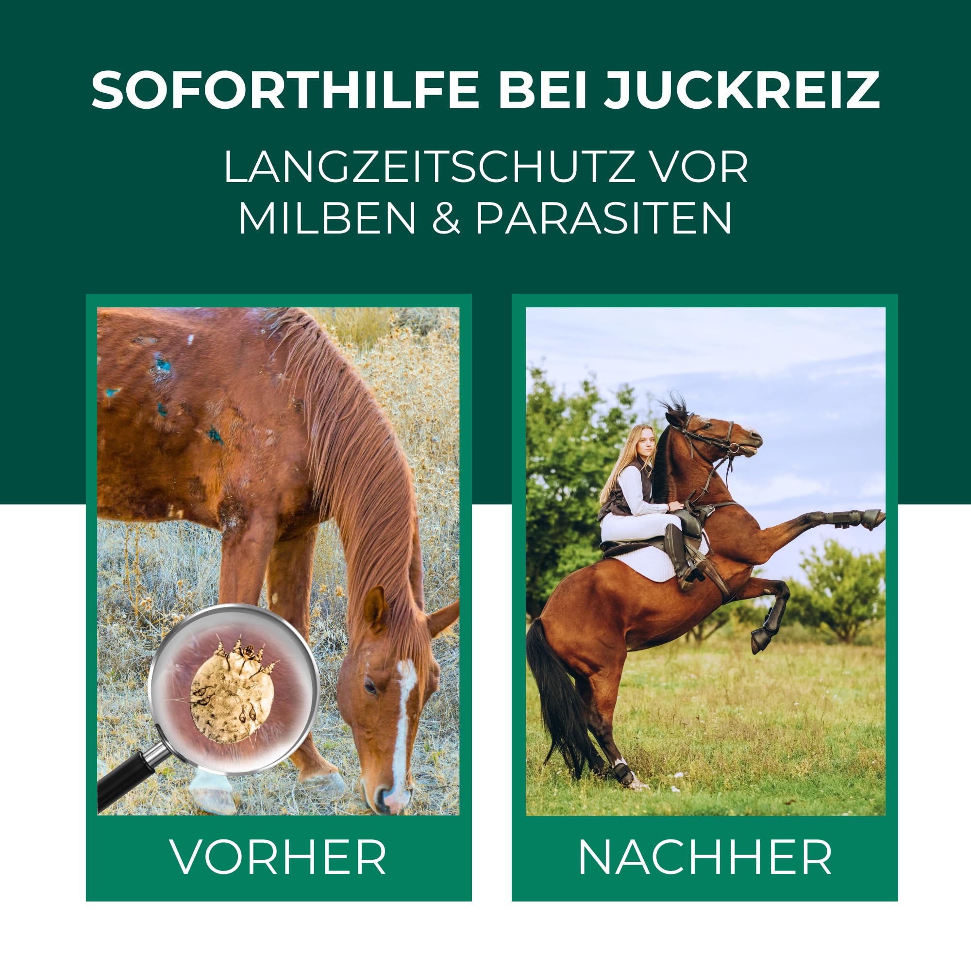 Silberkraft Milbenspray Pferde 2 L - Repellent zur Abwehr von Milben, Flöhen und Läusen - Für Fell, Mähne, Schweif & Stall - Gebrauchsfertig – mit Geraniol