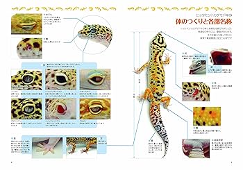 ゲッコーの本 Amazon.co.jp: ゲッコーとその仲間たち: 世界のヤモリ―オウカン
