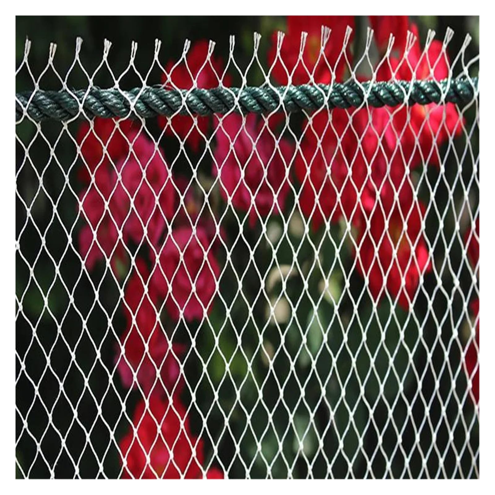 Questa Rete di Protezione per Uccelli in Nylon di Alta qualità - 1 m x 10 m, Bianca, per Giardino e Balcone, Decorazione per Matrimoni, Protezione per Gatti, Rete per Esterni per la decorazi