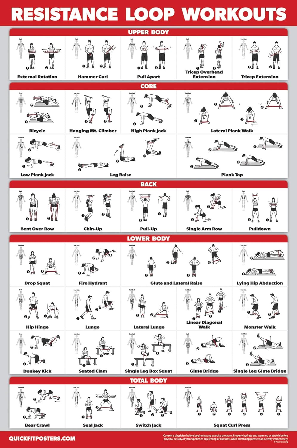 Buy QuickFit Resistance Loop Bands Workout Poster Laminated 