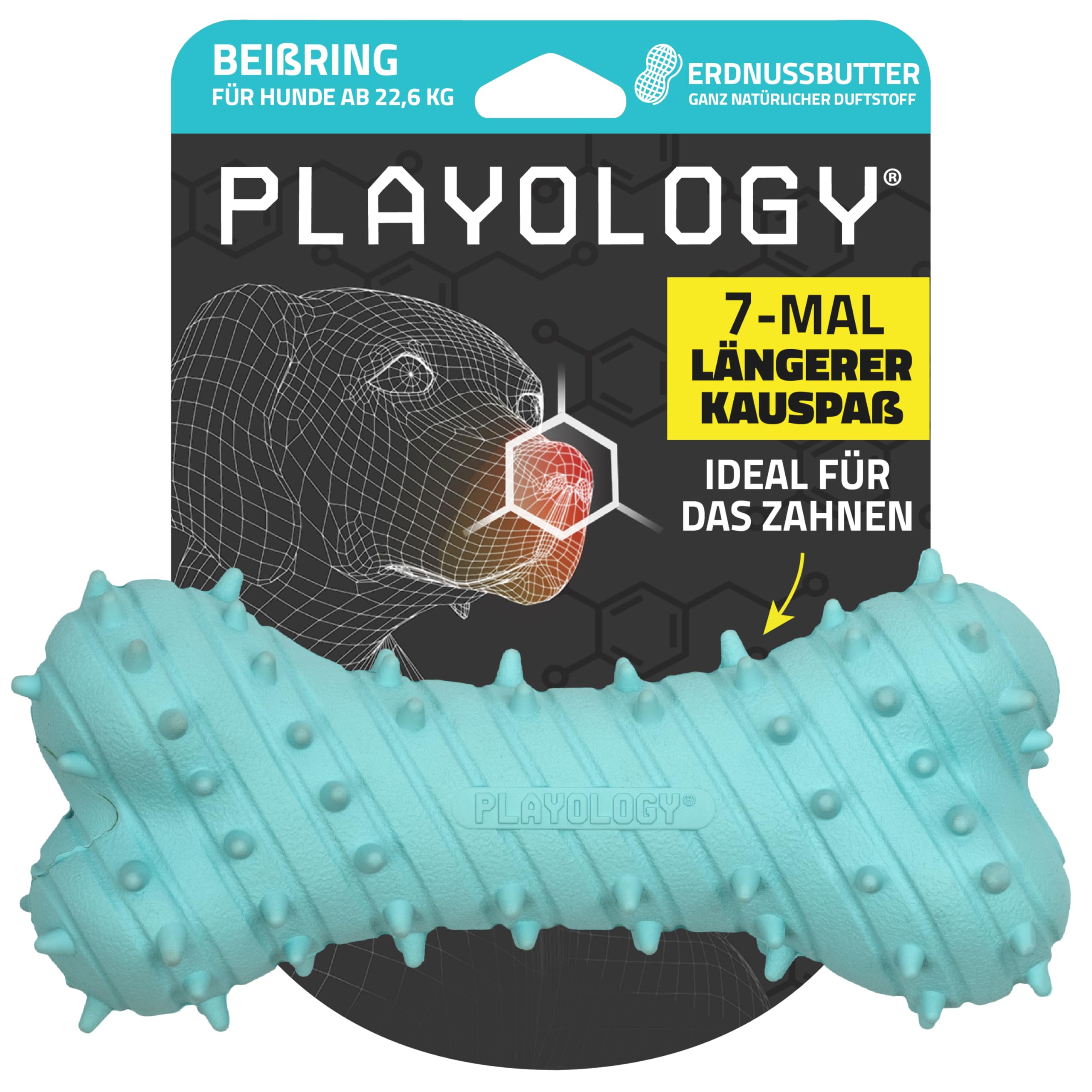 Playology Hundespielzeug | Beißknochen für große Welpen und junge Hunde | Erdnussbutterduft Jumbo-Hundeknochen Kauspielzeug | Beißspielzeug für Welpen