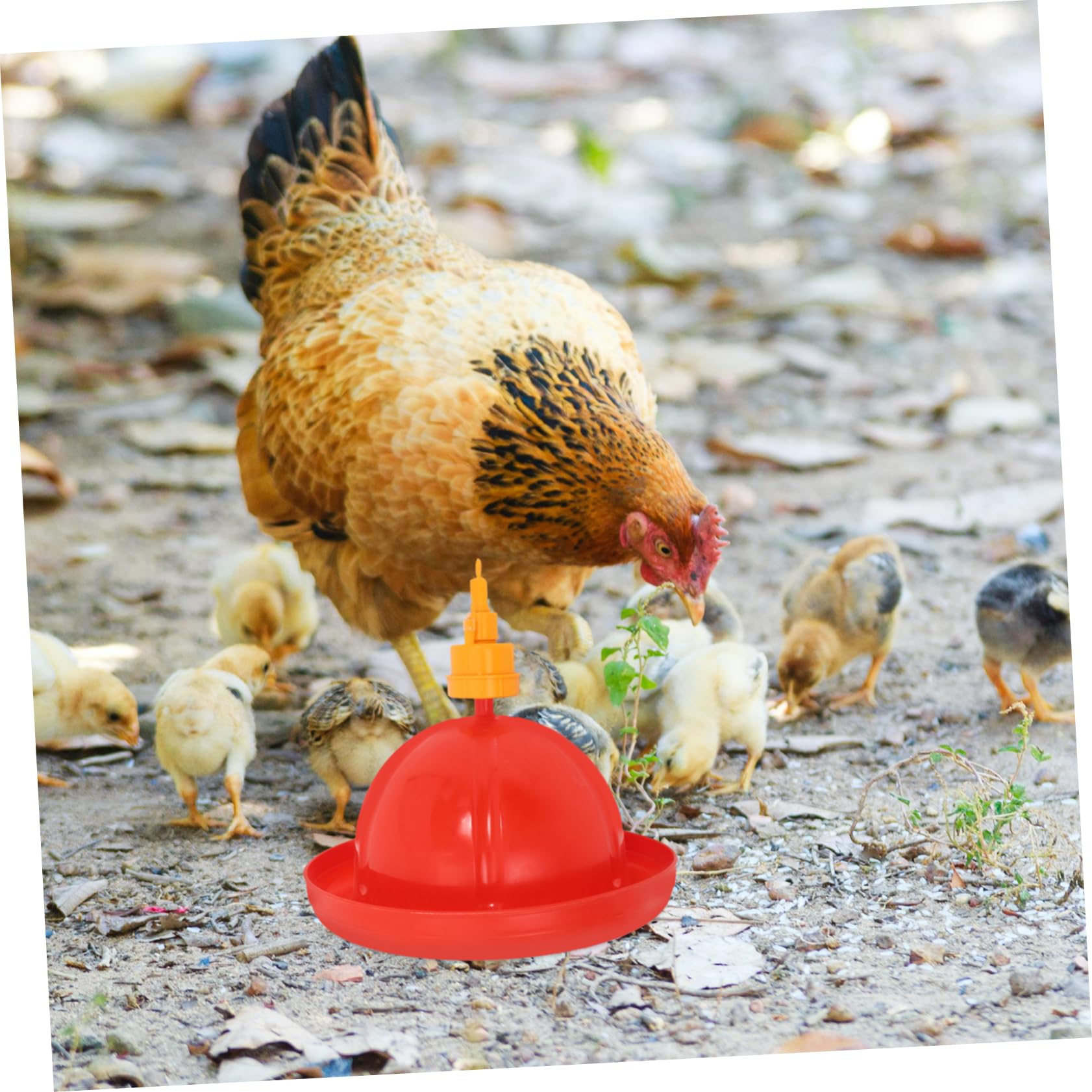 YARNOW Tazón De Agua para Pollos Comedero para Pájaros Sistema De Riego para Aves
