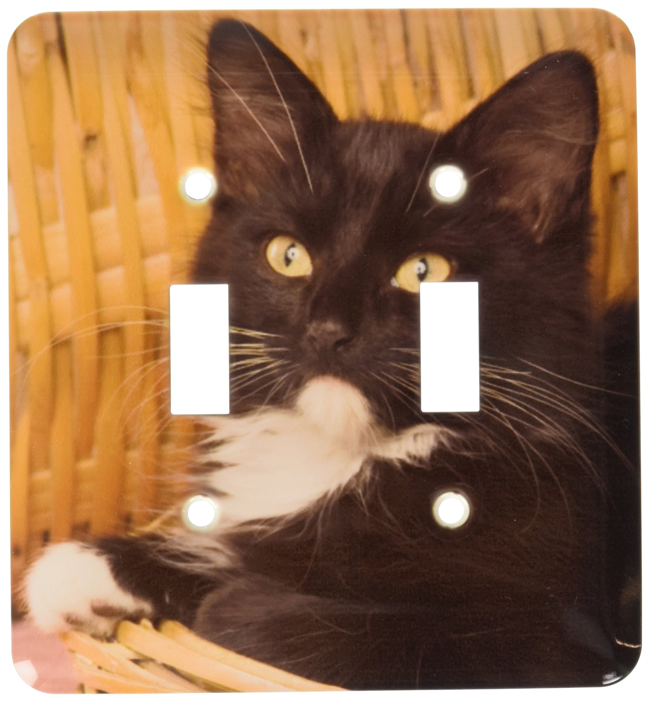 Interrupteur double chaton Na02 Mpr0102 pour embellir votre salon chaleureux