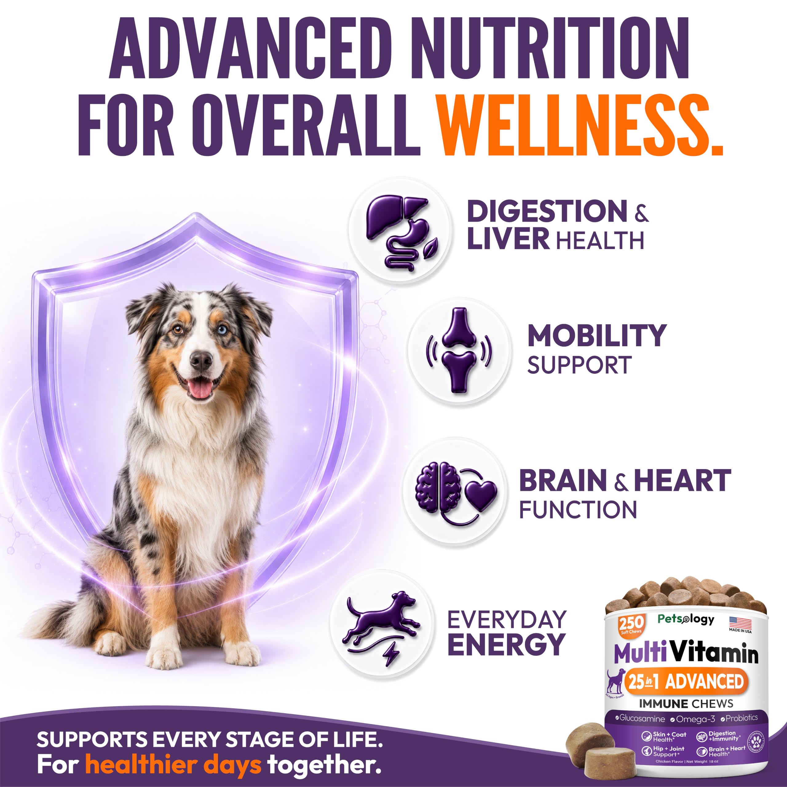 25-in-1 Dog Vitamins and Supplements - 250 Chews Dog Multivitamin Chewable — Amazon image 3
