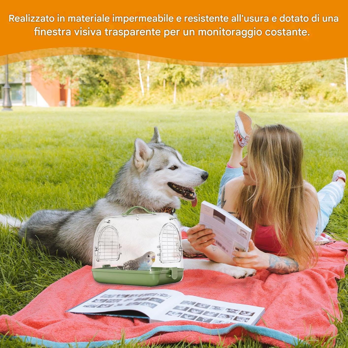 Jaula de viaje de aves, jaula de aves de viaje CAGA PORTABLE DE IMPARACIÓN | Hámster que transporta suministros, accesorios de viaje de cacatúa, bolsa de viaje de mascotas