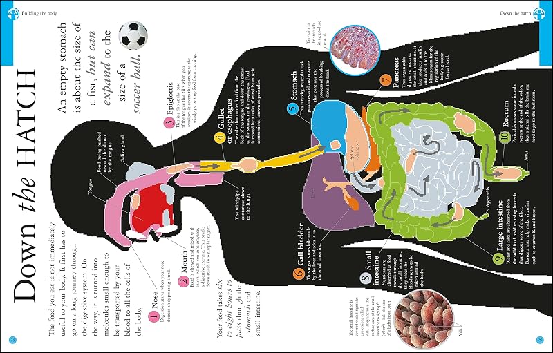 Are You What You Eat? image 3