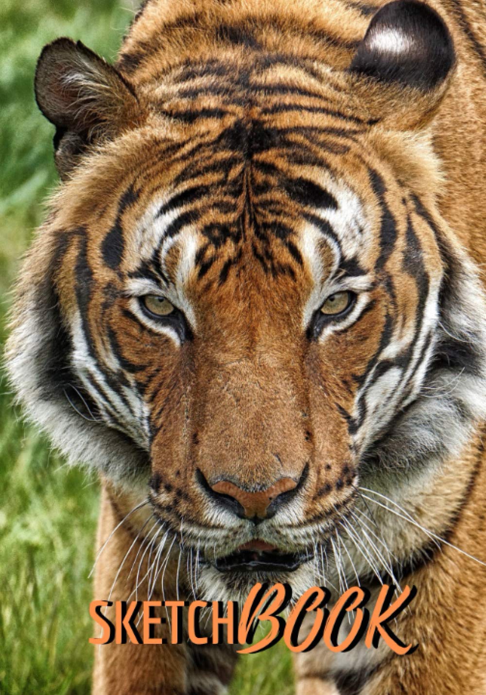Tiger Sketchbook: Softcover Tiger Sketch book/ Notebook for feline lovers ⎮ 7x10 inches, Large ⎮ Sketch pad for Drawing, Writing, Doodling or ... with glossy finish cover and Premium Paper