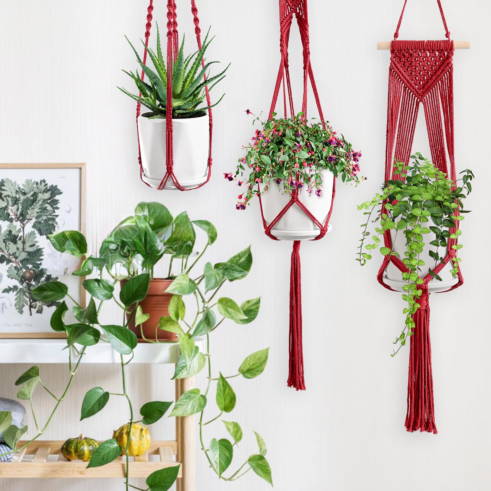 Makramee-Pflanzenhänger – 5-teiliges Set – Handgeknüpft – Mit Haken & Federn – Boho-Deko Für Zimmerpflanzen