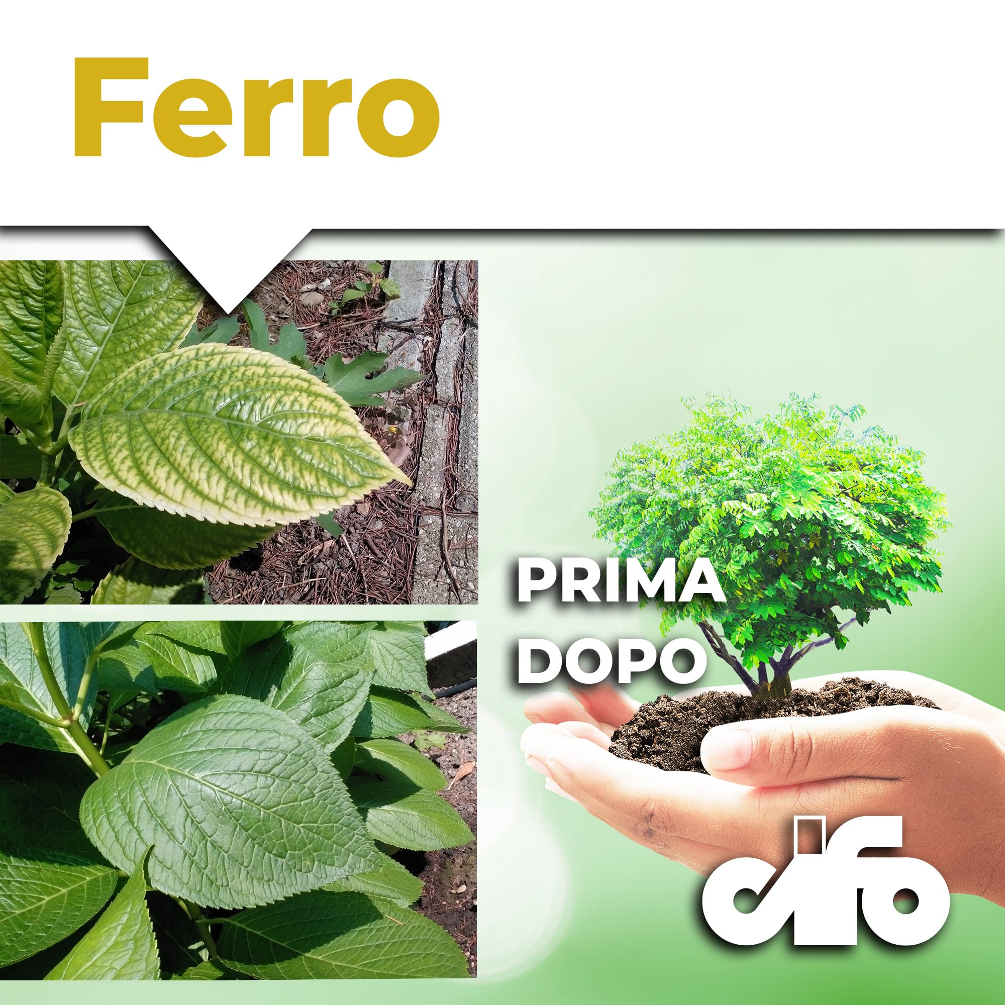 Cifo Ferro Liquido Per Piante - Integratore Anticingolamento 100 Ml - Foto 6