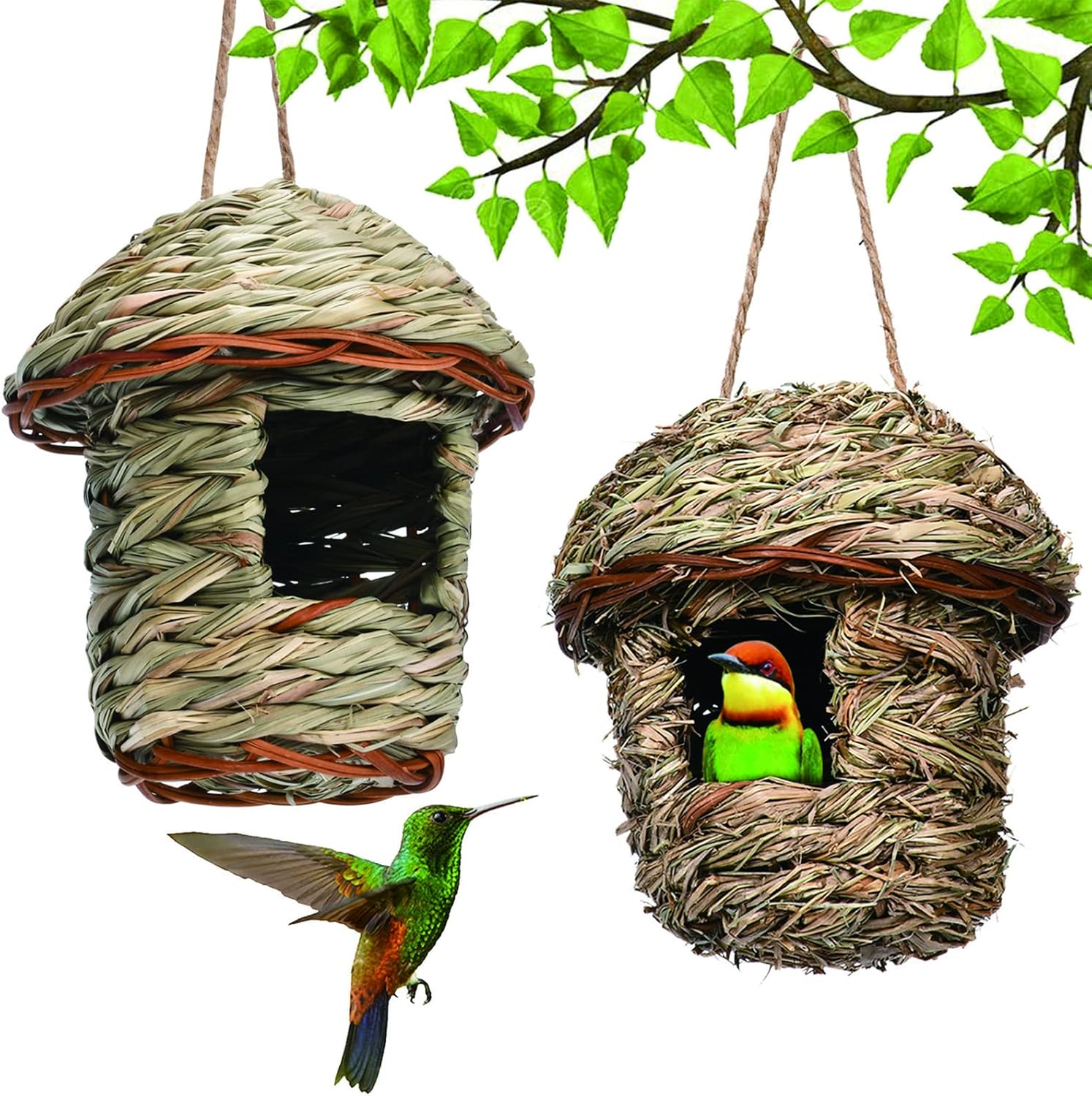 ASY 2 cajas de anidación de aves tejidas a mano, para jaula o exteriores, naturales, hechas a mano, de caña y hierba negra, para pájaros, colgantes, casa de pájaros, nido de pájaros pequeños