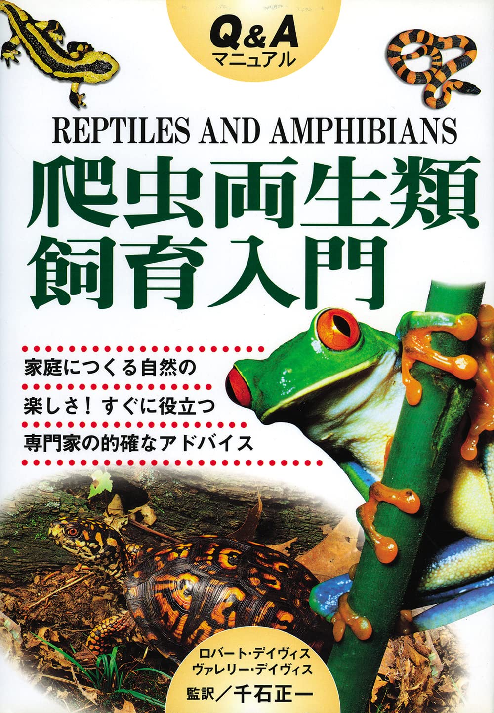 Q&Aマニュアル爬虫両生類飼育入門 | ロバート・デイヴィス