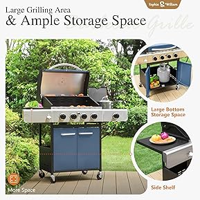 The Best Propane BBQs Under 500 For Camping 9 81 ZWQfHHKL. AC SL289