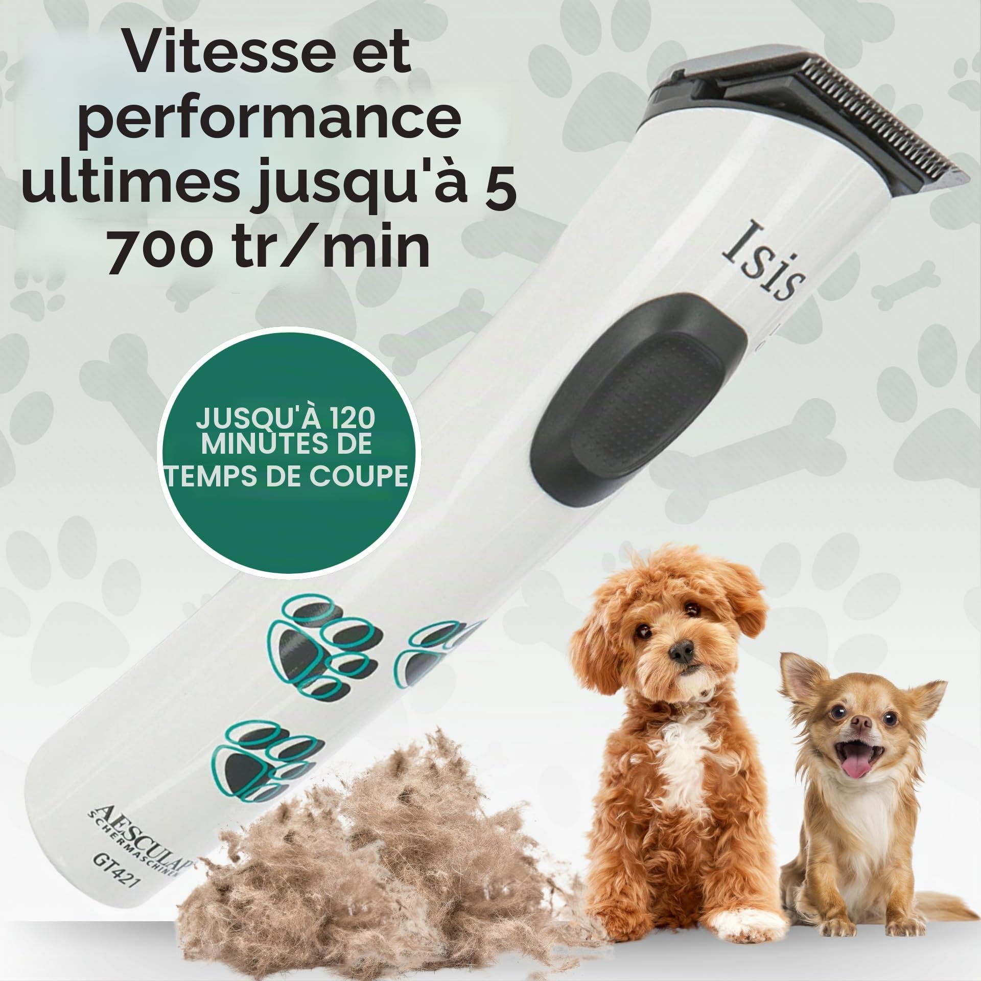 Agrarzone Edition Isis Tondeuse pour pattes de chien – Avec tête de rasage de rechange – Tondeuse pour chien légère et sans vibration pour des travaux de détail fins – Tondeuse pour pattes de chien