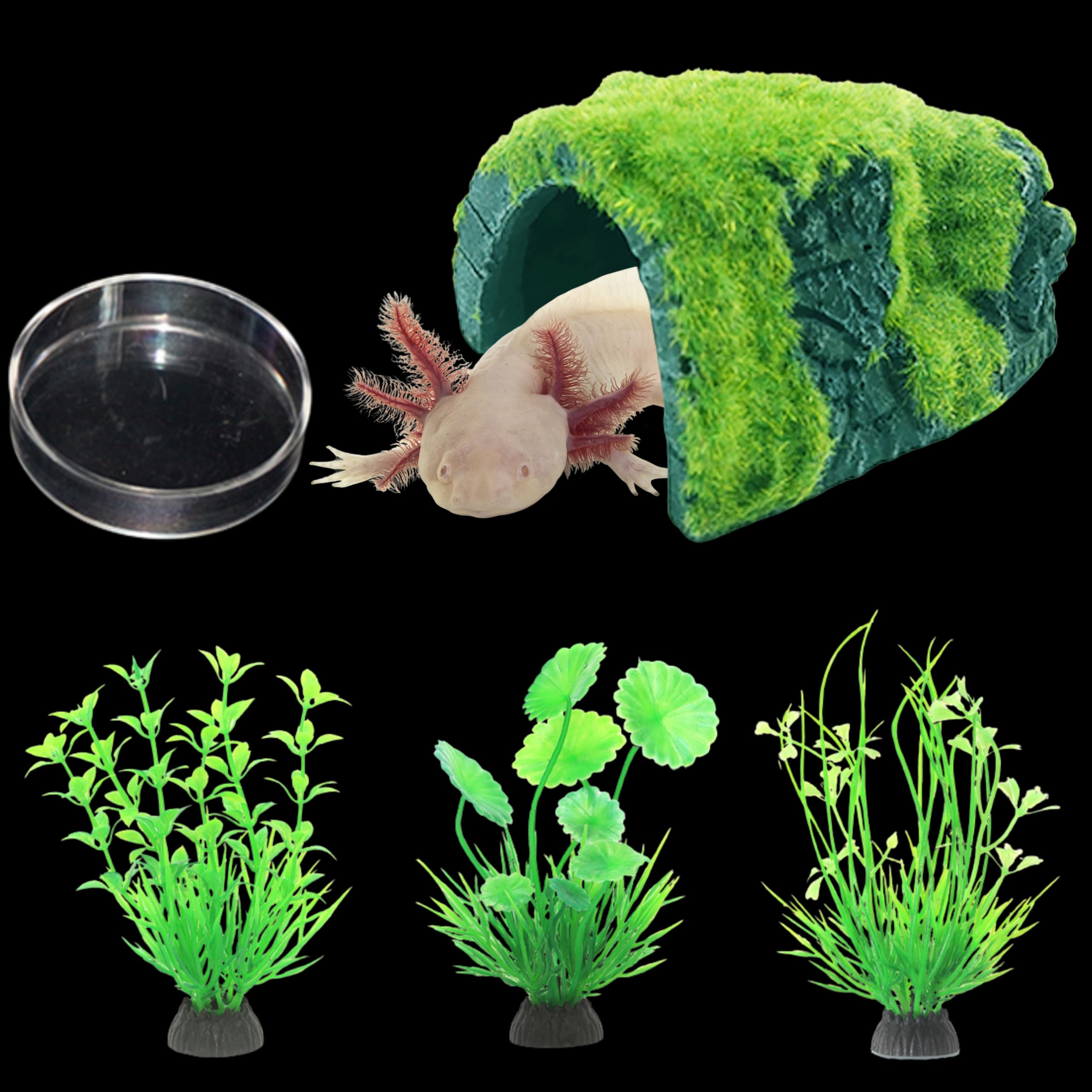 Axolotl Hides for Aquarium with Feeding Dish and Fake Plants Set, Axolotl Cave with Green Plants, Aquarium Decor, Fish Tank Decorations, Turtle Tank Accessories (Cave+Plant+Feeding Dish, L)