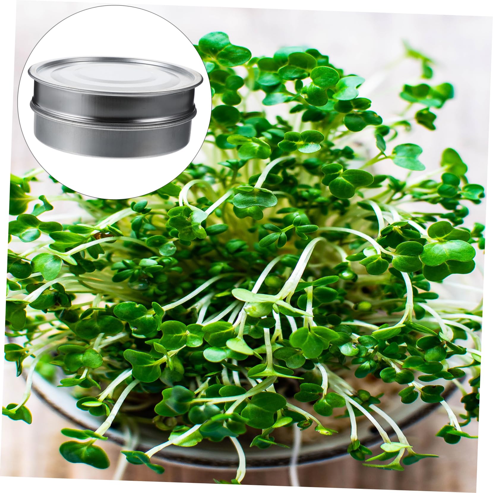 Abaodam 1 Set Vassoi Germoglianti Inossidabile da Kit per Germinazione Piante con Base Zincata Facile da Usare per Coltivazione e Balcone