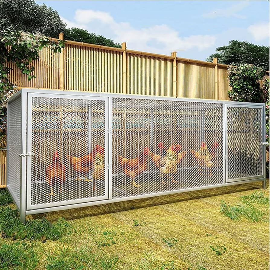 【軍鶏】 TA-270 小軍鶏 九州系赤笹種 雄1雌2 | キットウココ ペット部