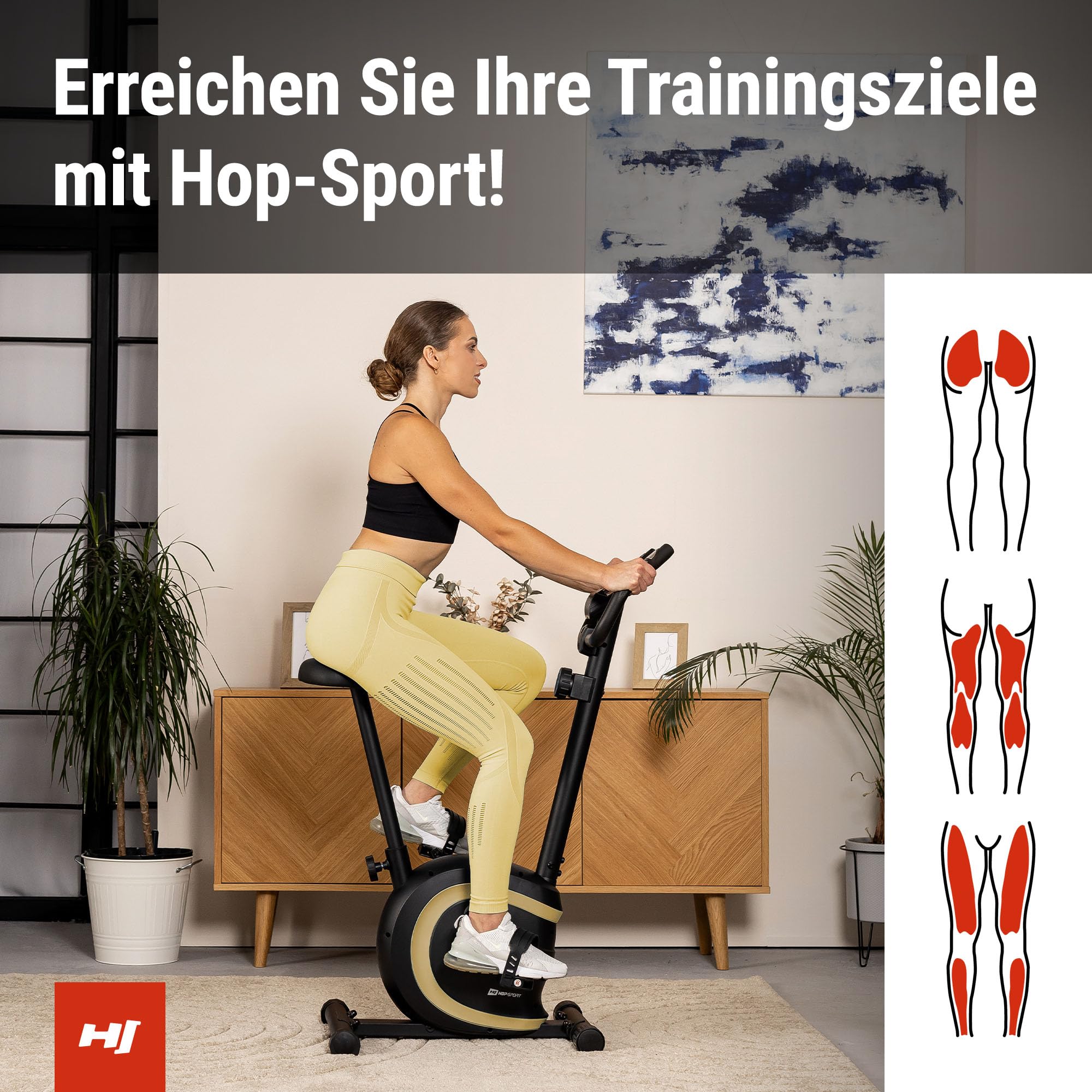 Hop-Sport Heimtrainer Vox - Ergometer Fahrrad für Zuhause mit Magnetischem Bremssystem, Verstellbarem Sattel und Pulsmessung, Fitnessbikes für Home Fitness, Indoor Bike