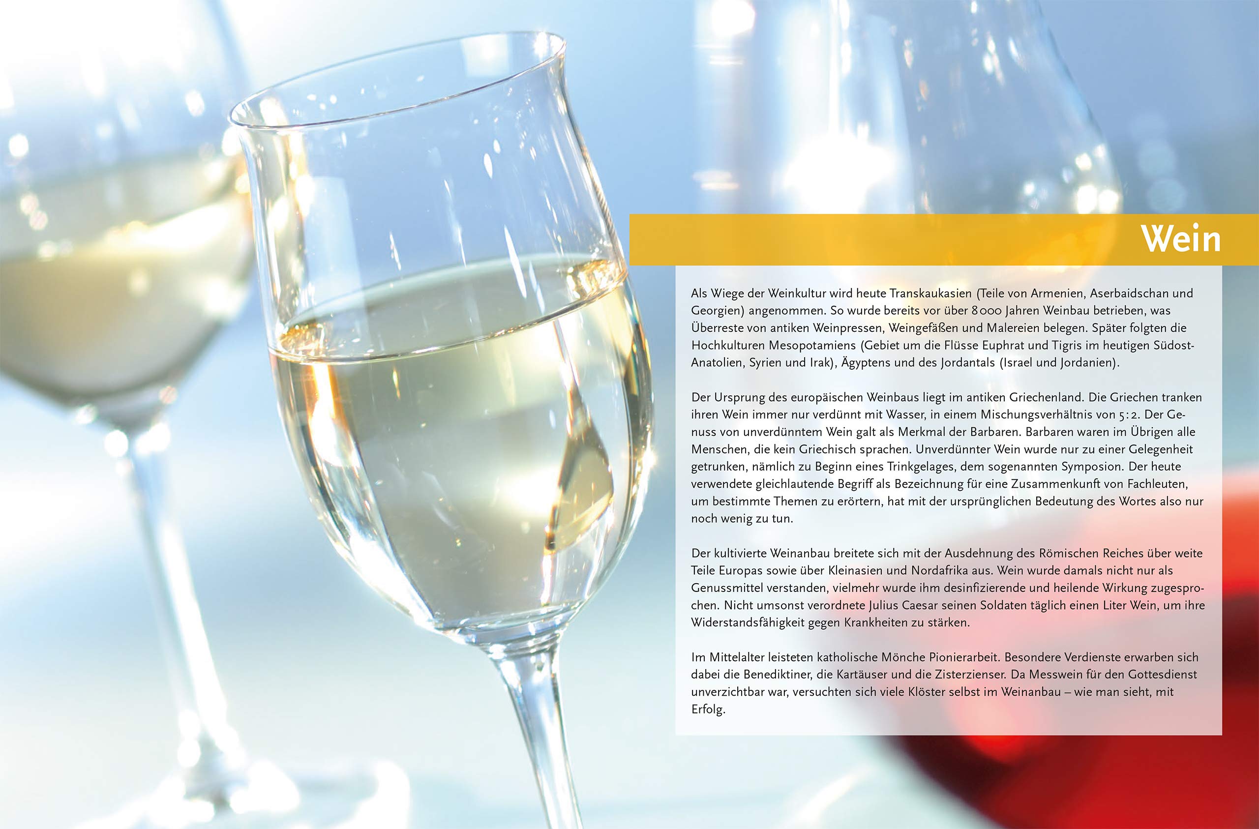 Service. Die Grundlagen: Ausgezeichnet m. d. Silbermedaille d. Gastronomischen Akademie Deutschlands 2010