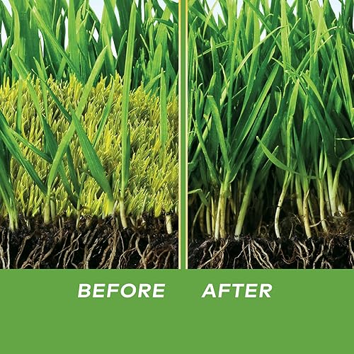 Miniatura 6 de Scotts - Aerosol antimusgo MossEx en bidón agitador fácil de usar, 4.59 libras.