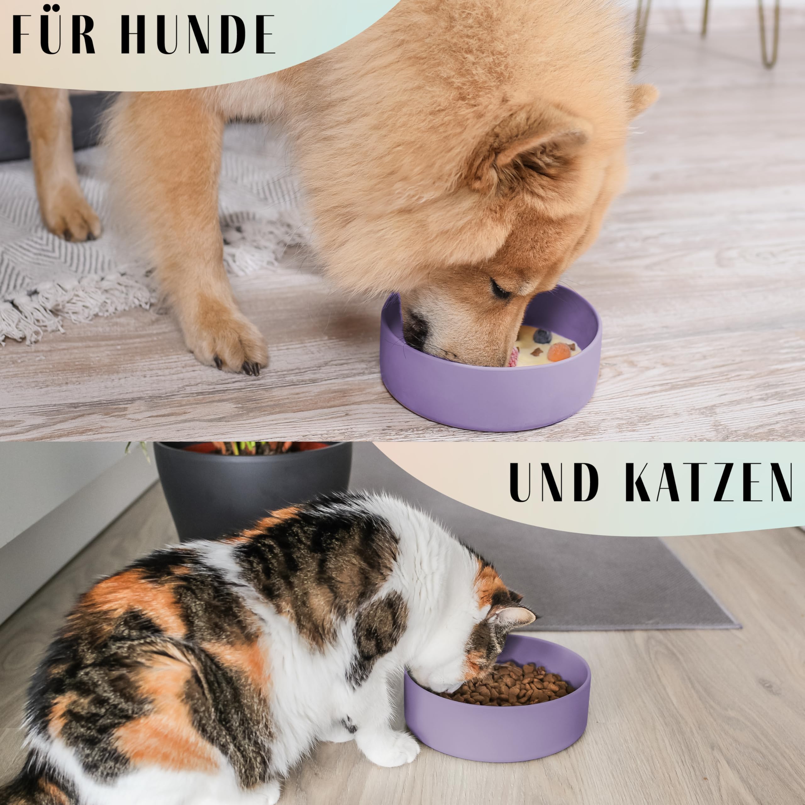 BNOSDM Silikon-Futternapf Flach – Für Hunde & Katzen Mit Kurzer Nase, Spülmaschinenfest, 2er-Set