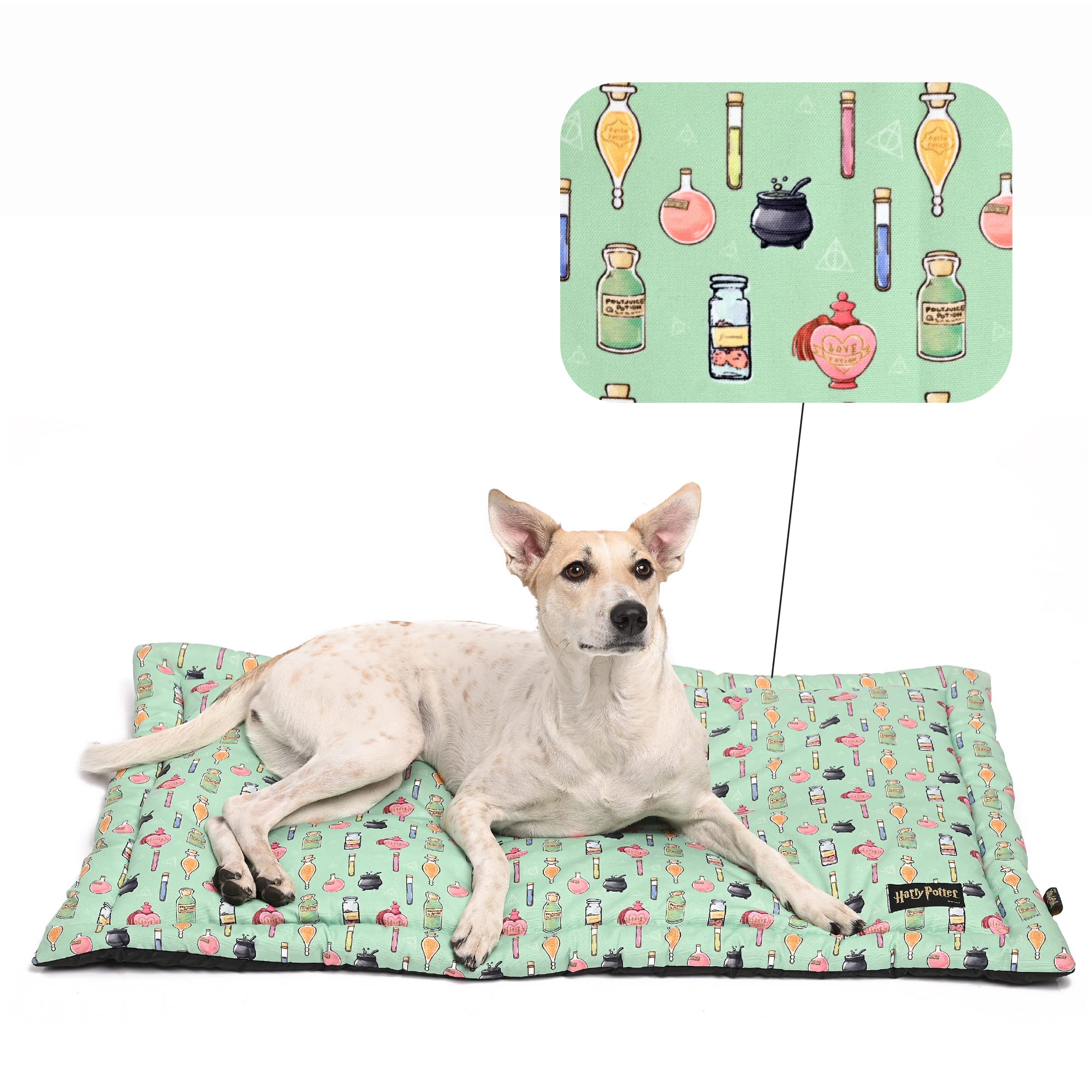 Mutt of Course Harry Potter Welcome to Hogwarts Dog Mat for Home, Car and Outdoors | Cushioned Mat for Dogs Comfort | Anti-Skid Pet Mat with Waterproof Base | Easy to Clean - M (B09MFKKF86) Amazon Price History, Amazon Price Tracker