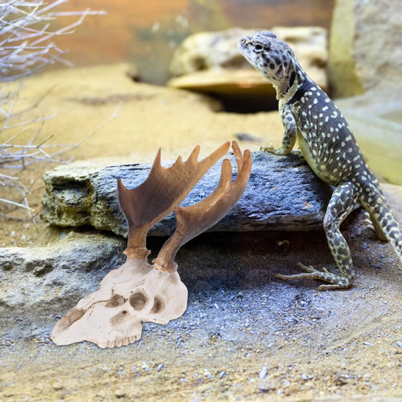 BESPORTBLE 3pezzi Decorazione Per Terrario Skulll Per Rettili Nascondiglio Lifelike Per Habitat Rettili e Accessorio Per Tartarughe e Gechi