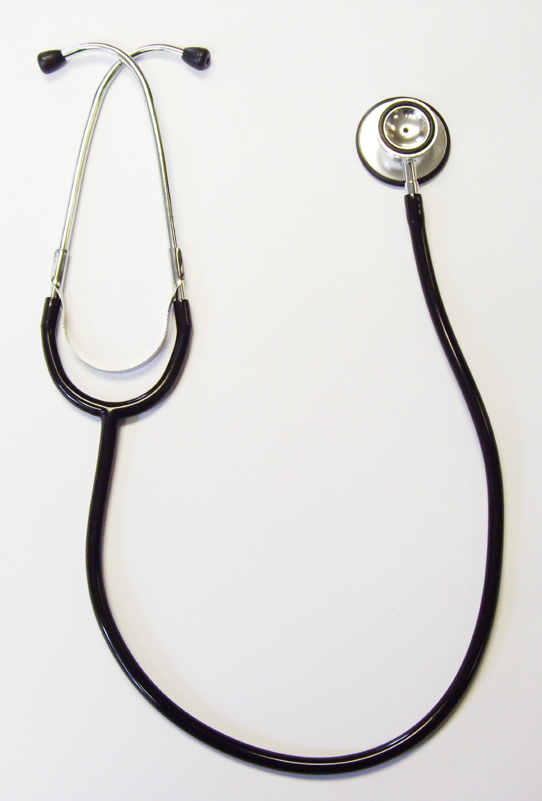 Paramed Professional Aneroid Sphygmomanometer Blood Pressure Cuff At