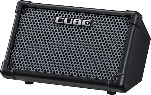 Roland Cube Street II | Amplificador estéreo portátil alimentado por batería | Ideal para artistas callejeros | Soporta micrófonos, instrumentos y