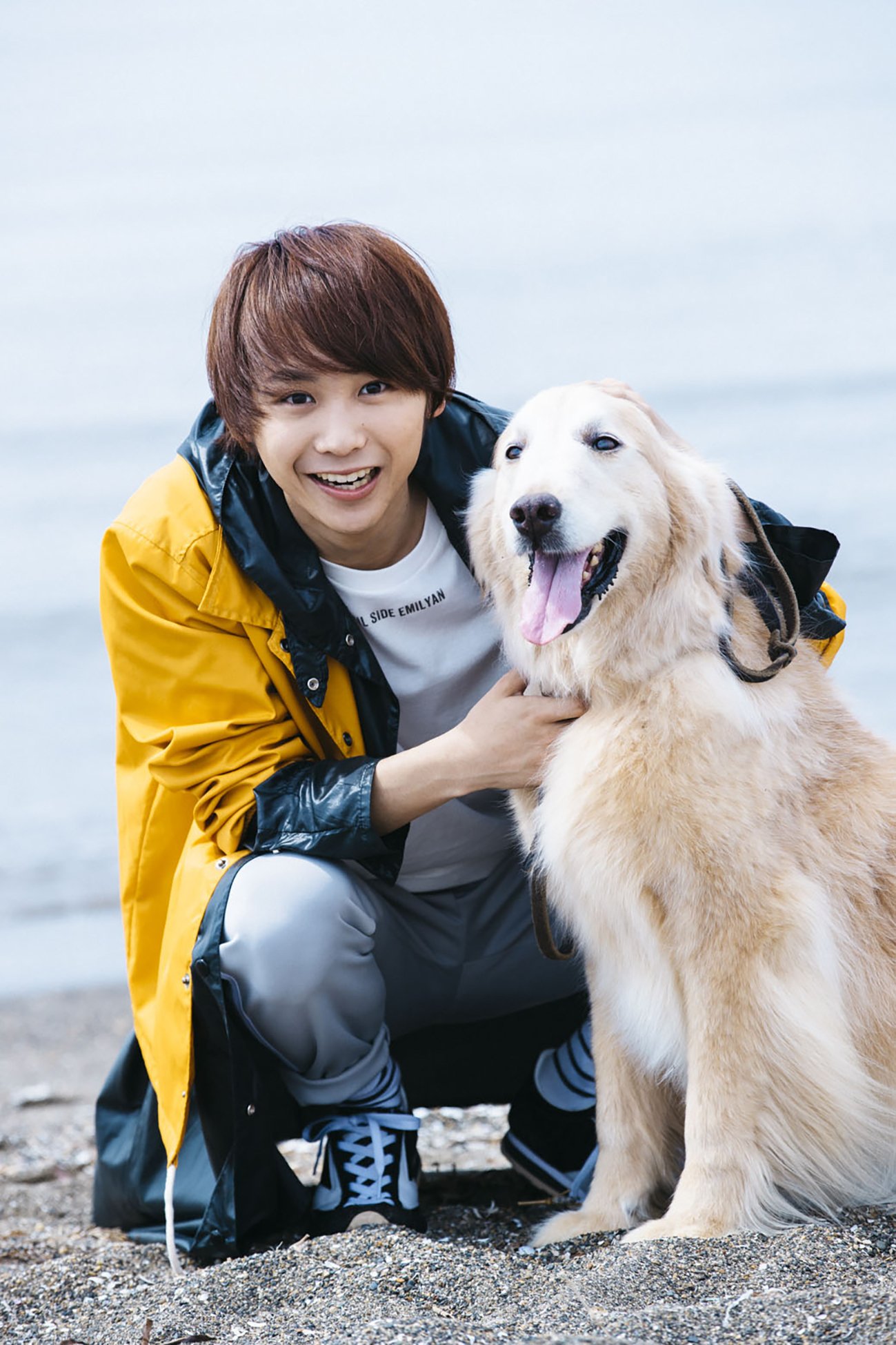 Amazon.com: 須賀健太: books, biography, latest update