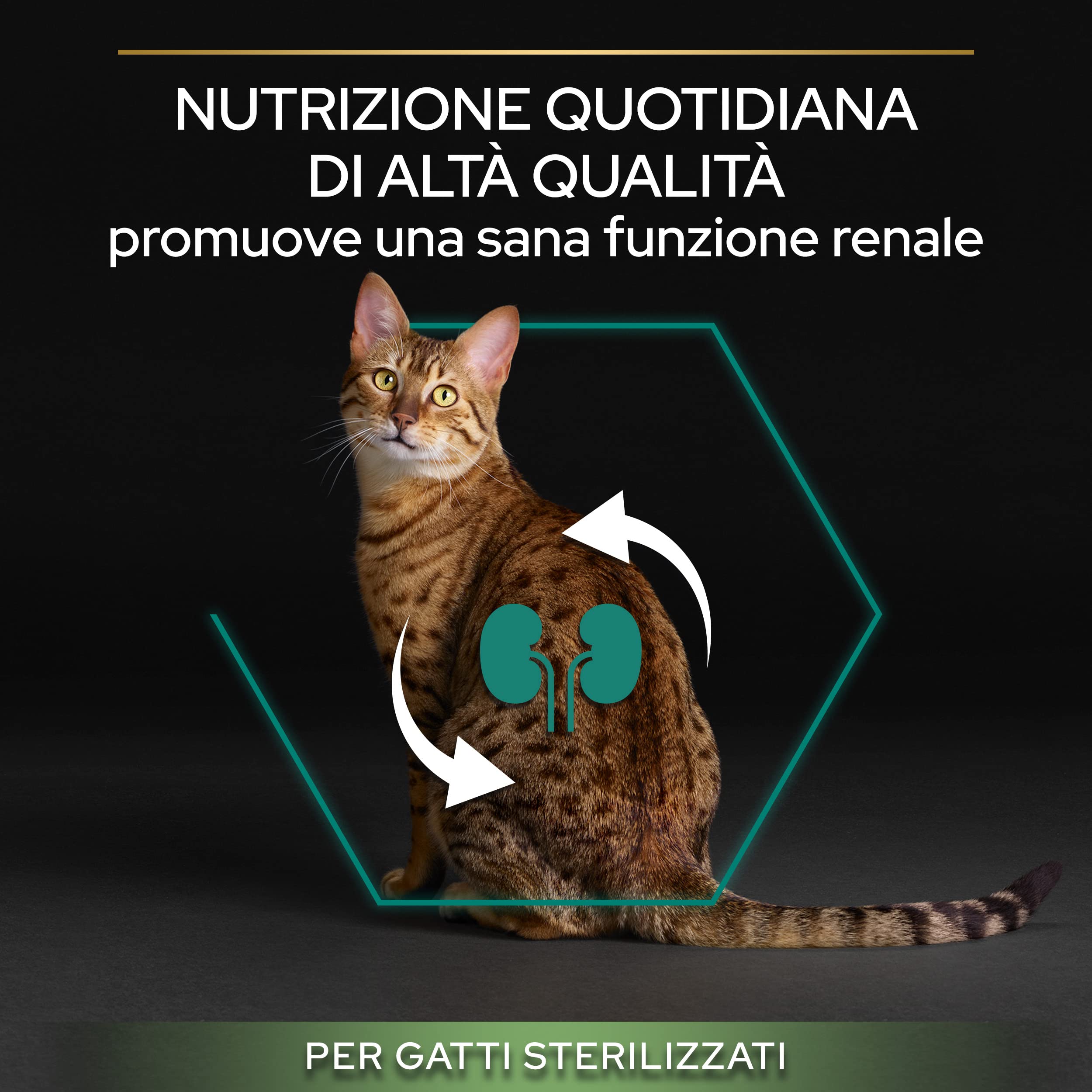 PURINA PRO PLAN Renal Plus Crocchette per Gatti Sterilizzati, Sacco da 10kg | Croccantini per Gatti Adulti Ricco in Coniglio