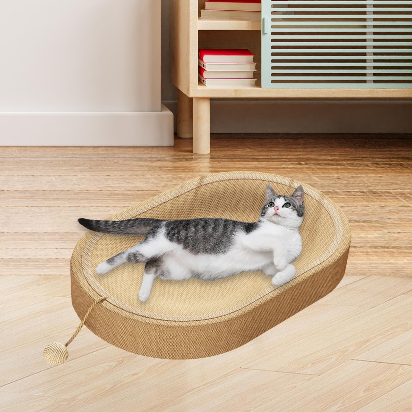Griffoir pour Chat, Lit de Protection pour Chaton D'intérieur et D'extérieur