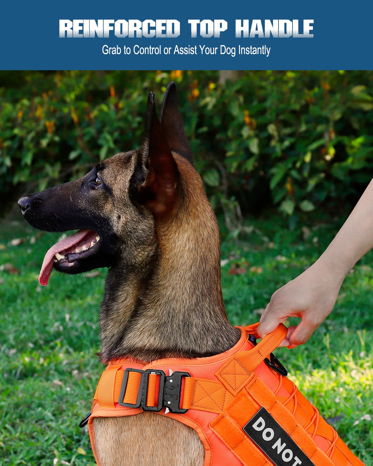PETNANNY Arnés táctico para perros de servicio, chaleco de apoyo emocional para perros medianos y grandes, chaleco para perro de la ESA sin tirones con gancho y bucle, chaleco Molle de trabajo para