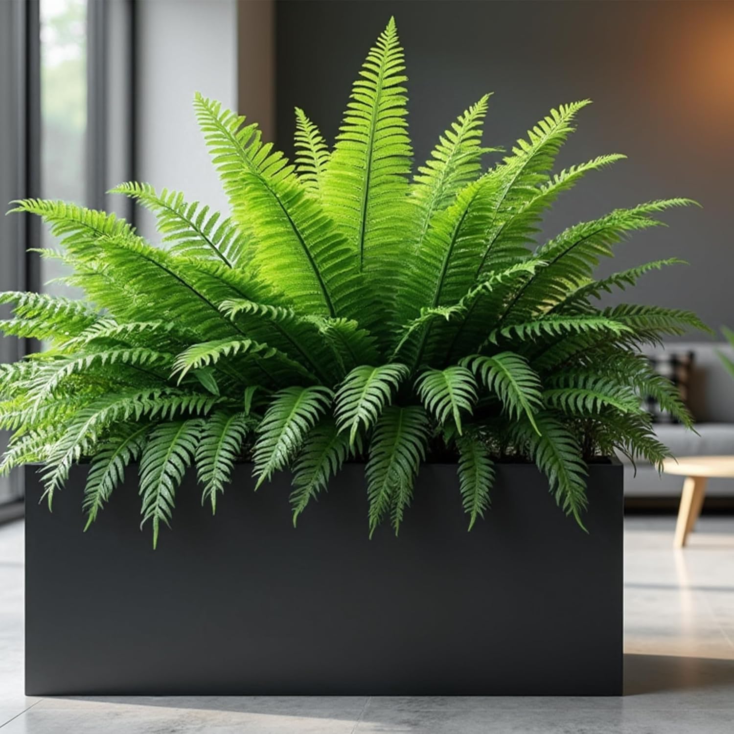 Worth Metal Planter Box with Insert Plate & Drain Holes, Indoor or Outdoor Use, No Assembly Required, 30" x 11" x 13", 14.3 Gallons, Matte Black