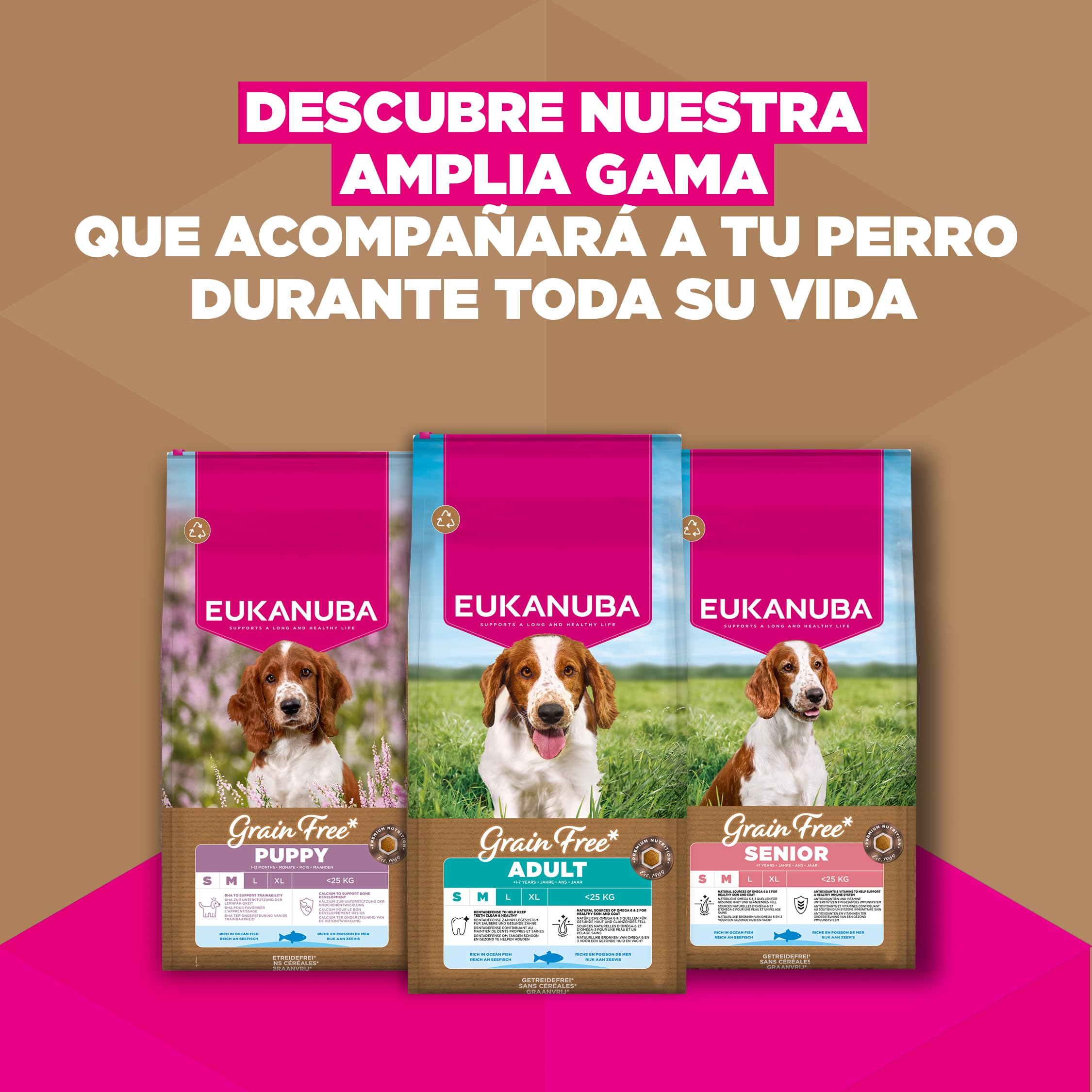 Eukanuba, alimento para Perros sin Cereales con Pesco para Razas pequeñas y Medianas - Alimento seco Premium sin Cereales para Perros Adultos, 12 kg