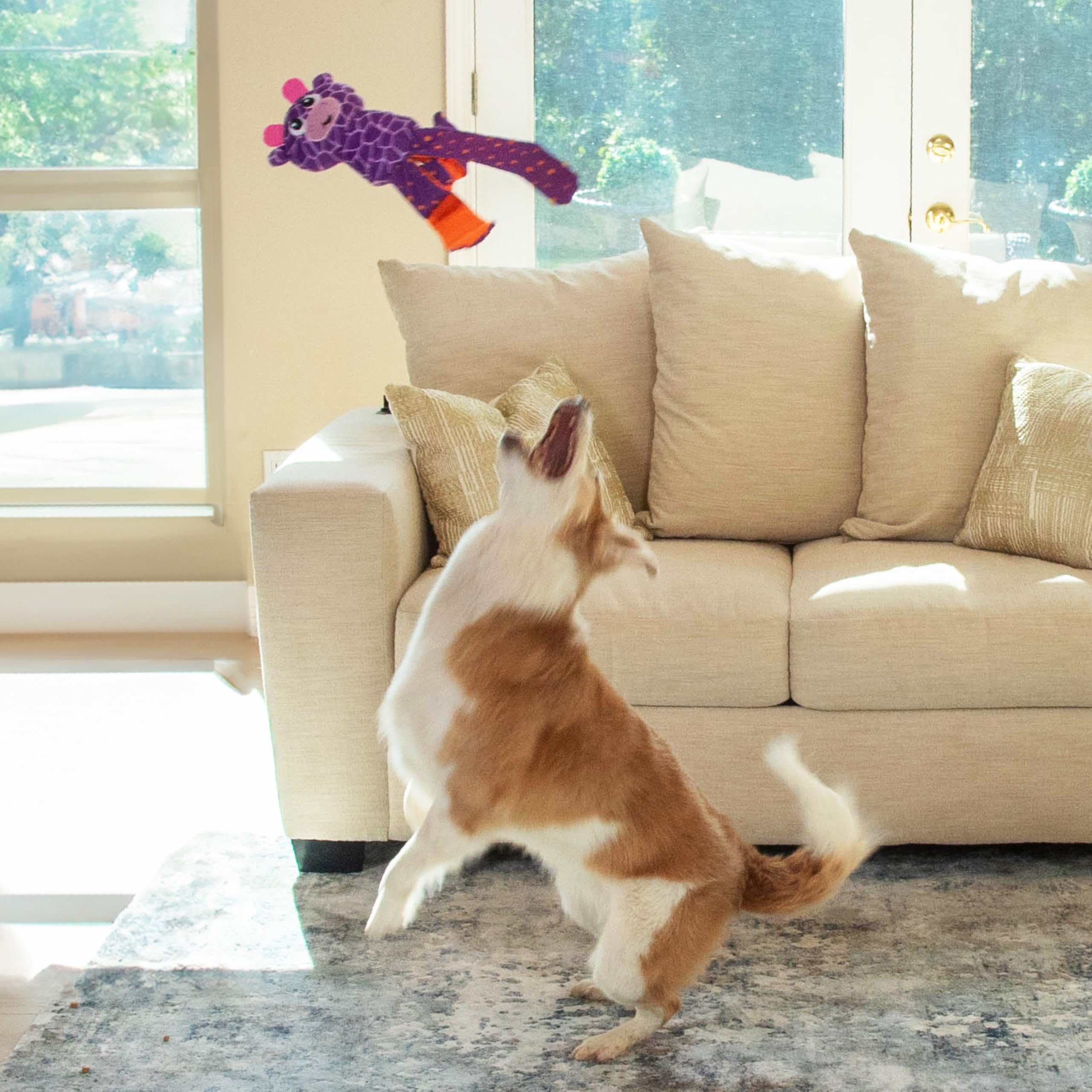 Amazon.com: Outward Hound by Nina Ottosson Silly Legz Interactive