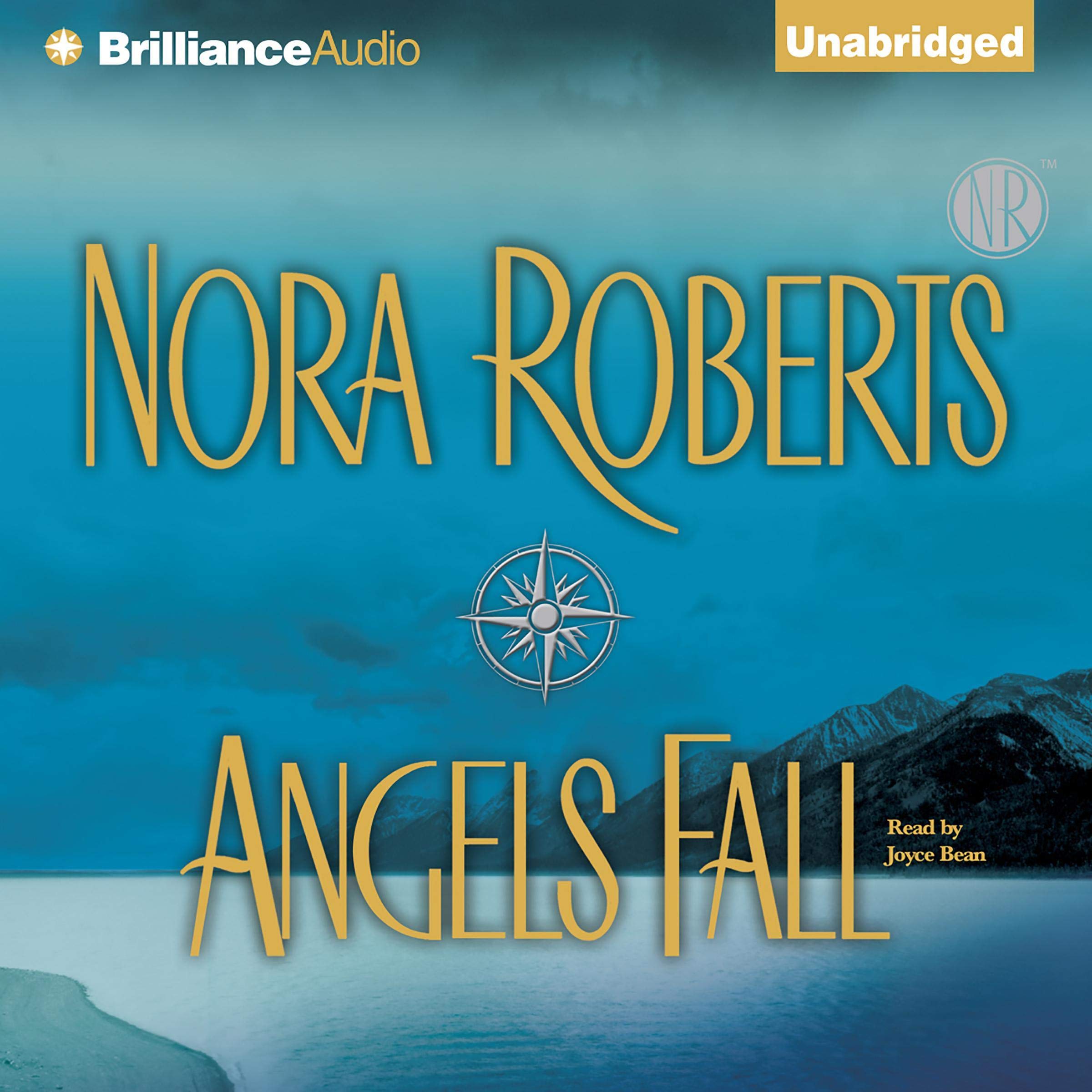 Cover art for Angels Fall
