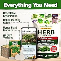 Vista 230 de HOME GROWN Más de 1000 semillas de cilantro para plantar en interiores o exteriores, hierbas tradicionales sin OMG, semillas de plantas de cilantro