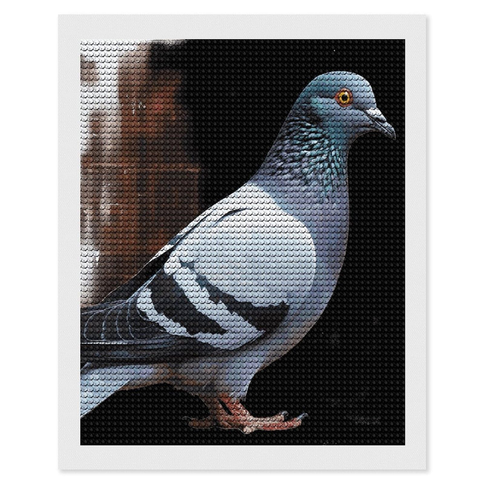 FodPand Pigeon 5D Diamond Painting Kits for Adults Beginners Full Drill Round Diamond Dots Pictures Gem Art Supplies for Home Wall Room Decoration DIY Craft Set Gift 16x20