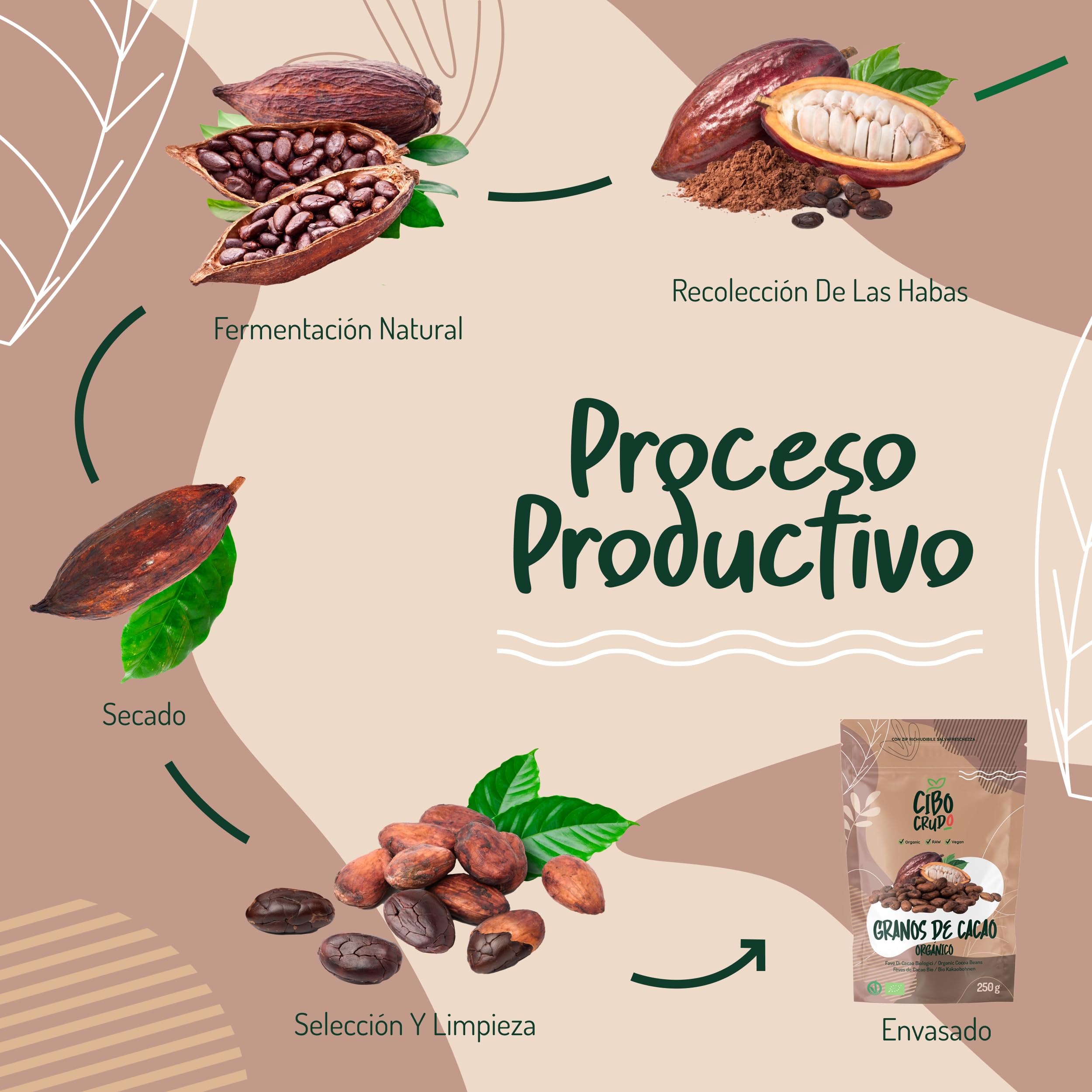 Granos de Cacao Crudo Orgánico 250g - Cacao Puro de Guatemala, Grano o Nibs 100% Natural