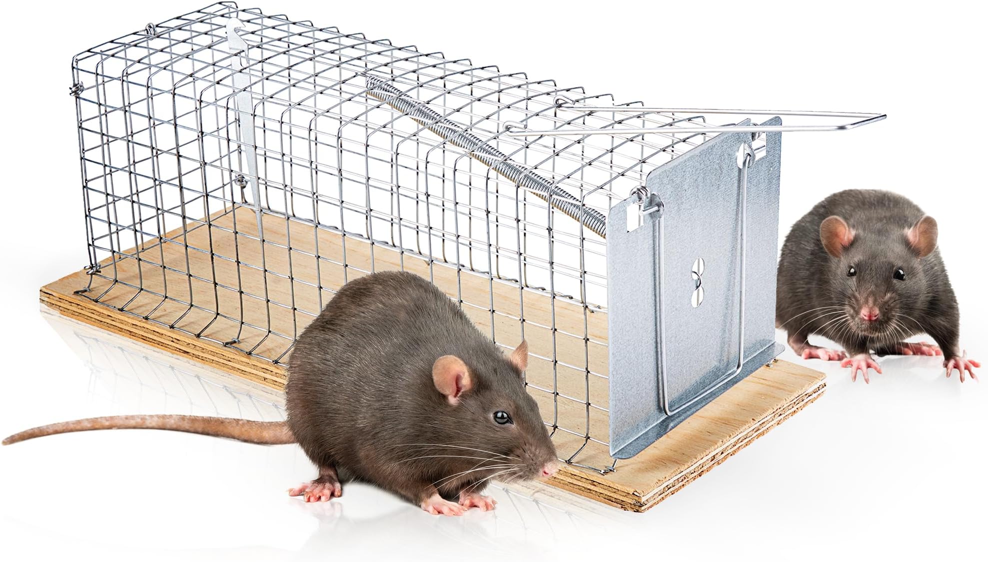 Trappola Per Topi Vivi Motel Mouse - Umanitaria, Riutilizzabile Per Interni/Esterni, Rilascio Senza Contatto