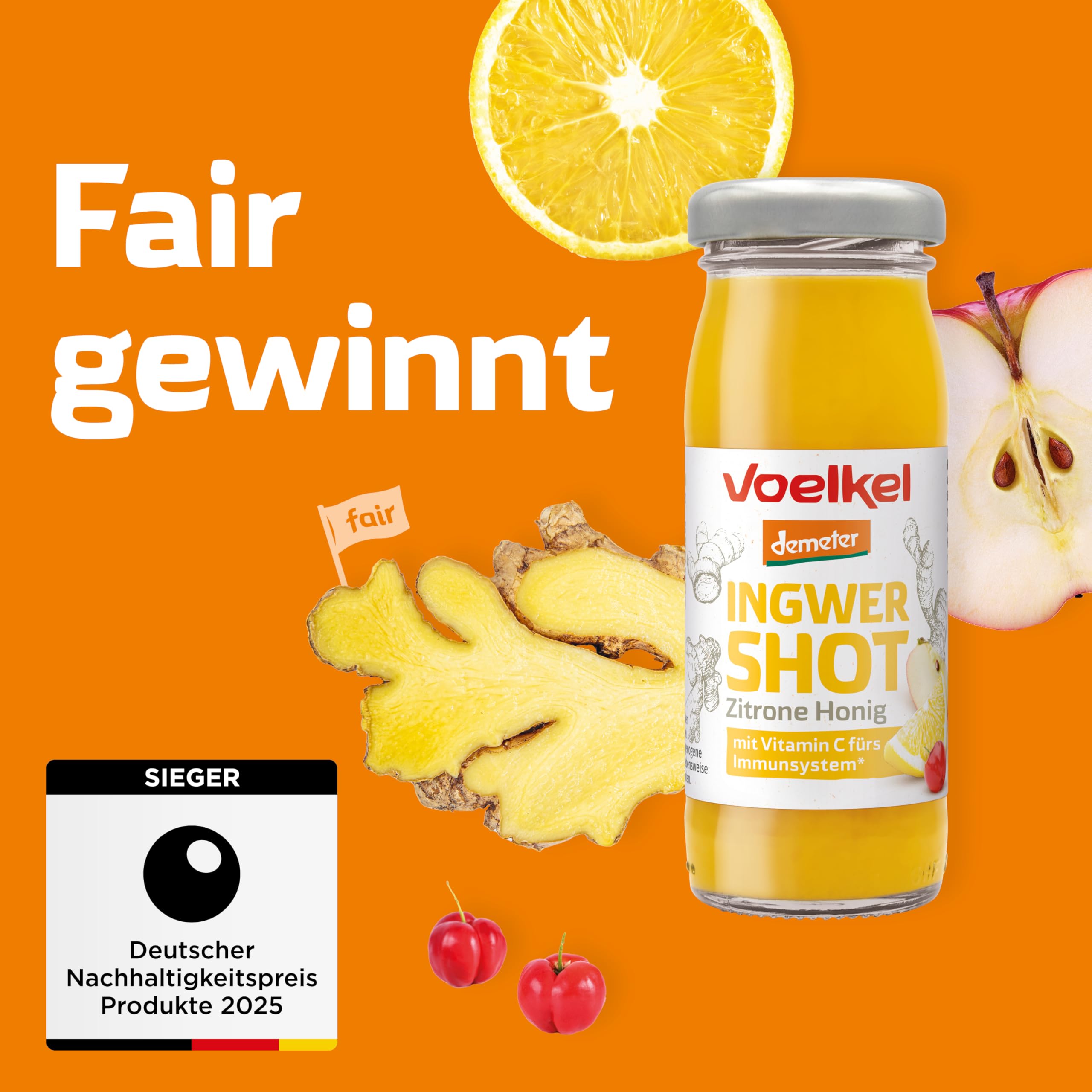 Voelkel - Bio Ingwer-Honig-Zitrone Shot mit Vitmain C - 16er-Pack - Demeter-Qualität aus Deutschland