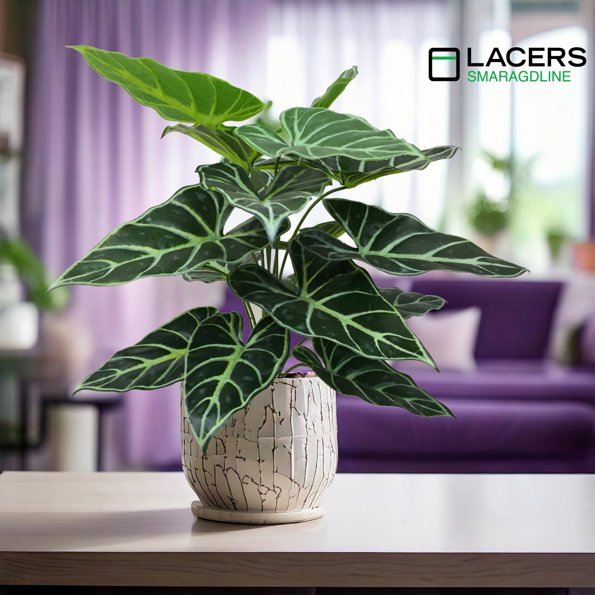 Lacers SMARAGDLINE Künstliche Taro im Topf 2er Set - 60cm Kunstpflanze Dekoration wie echt wirkende Blätter/Real Touch - Kunstblume für Ihr Zuhause, Balkon und Büro